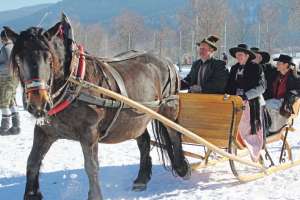 Beim traditonellen Lungauer Noriker-Bewerb sieht man die stämmigen Pferde mit zahlreichen historischen Schlitten und altem Brauchtum.
